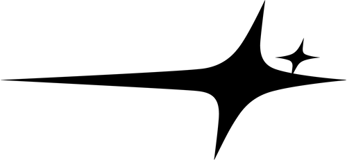 make-it-shine.com logo
