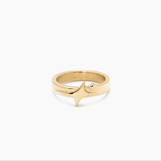 Gold signature ring