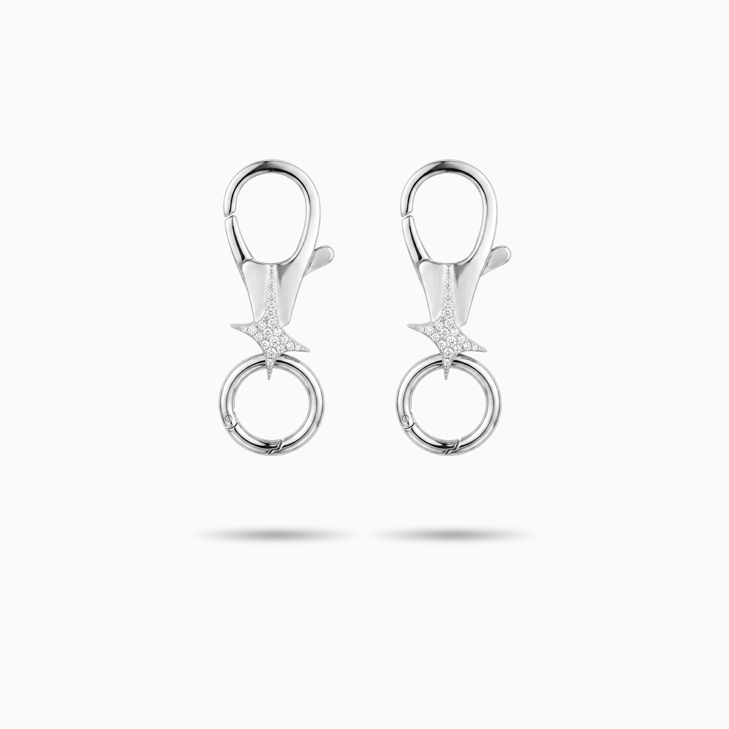 Carabiner Signature Argenté (x2)