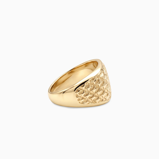 Starfield Square Signet ring - Gold